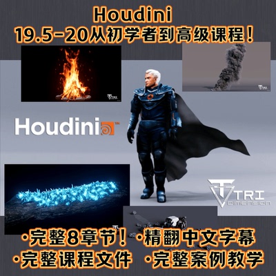 Houdini19.5-20从初学者到高级课程！完整8章节案例+精翻中文字幕