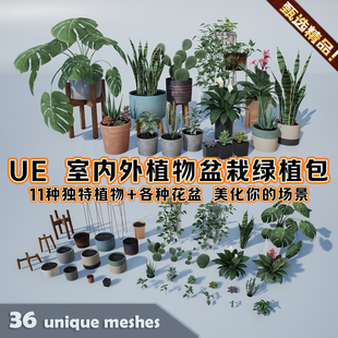 UE4UE5虚幻3A级逼真室内外盆栽绿植建筑场景环境装饰花卉苗木花盆