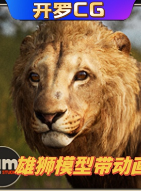 UE4虚幻5.3 Animalia - Lion (male) 雄性狮子雄狮模型带动画