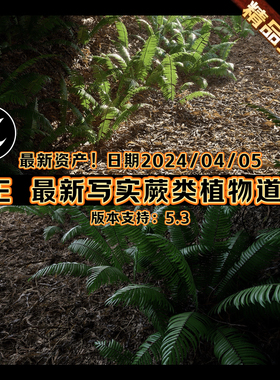 UE5.3虚幻引擎4K写实植物蕨类自然环境道具 Nanite Fern Vol.1