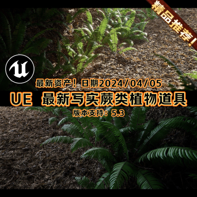 UE5.3虚幻引擎4K写实植物蕨类自然环境道具 Nanite Fern Vol.1