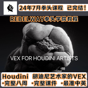 VEX FOR HOUDINI ARTISTS REBELWAY 拳头HoudiniVEX艺术家教程