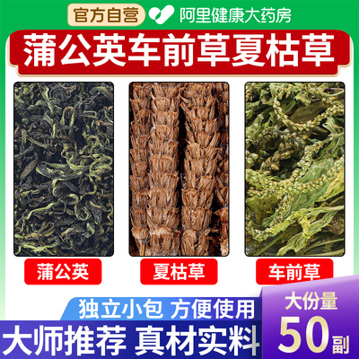 车前草蒲公英夏枯草中草药材和车前草去結茶正品官方旗舰店泡水喝