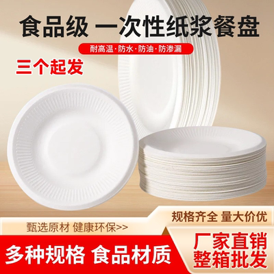 一次性餐盘生日蛋糕子派对纸碟