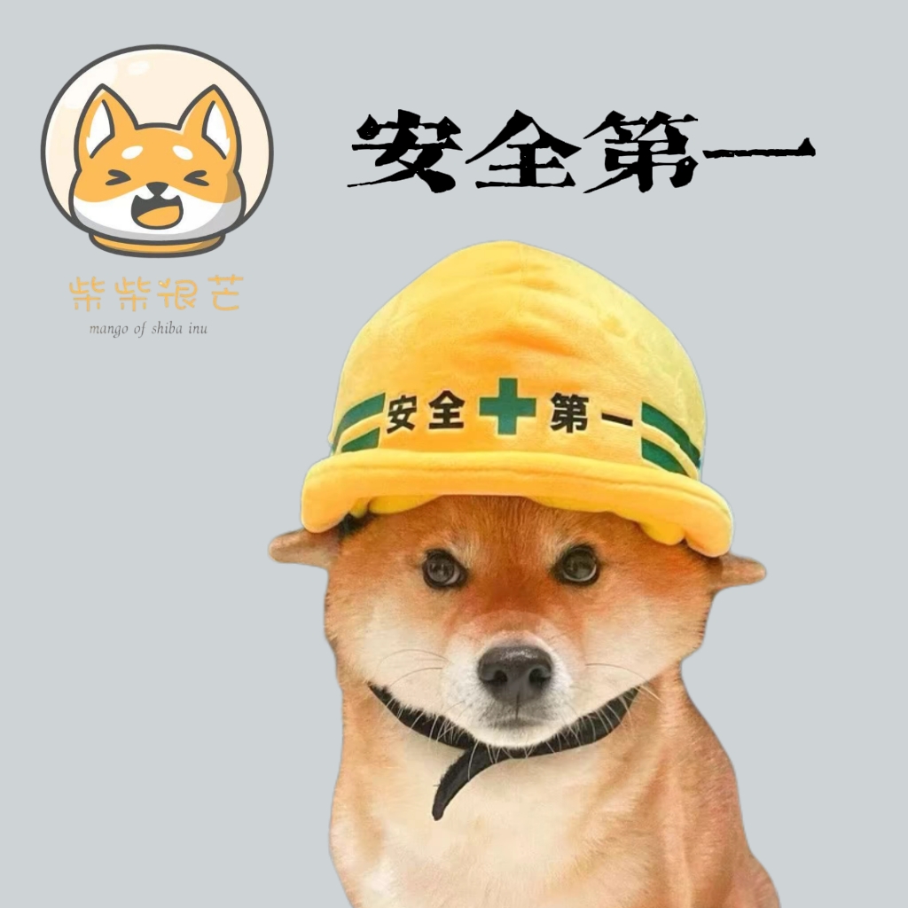 狗狗安全帽宠物拉柴犬小型犬可爱安全第一帽子卖萌搞怪拍照打卡