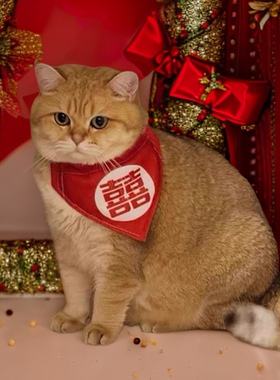 狗狗猫咪结婚装饰品喜字口水巾新年红色项圈可调节围脖小型犬宠物