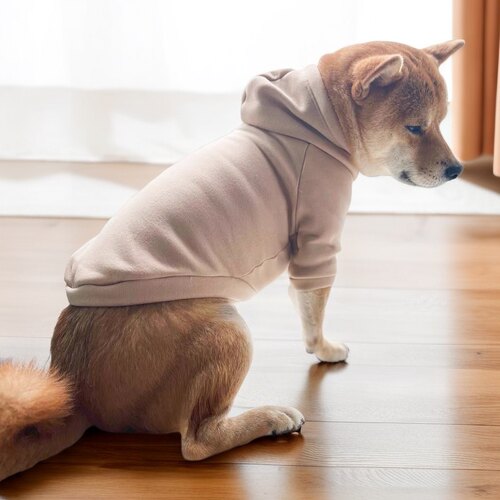 狗狗衣服加绒卫衣冬季柴犬柯基中小型犬春秋加厚宠物雪纳瑞连帽衣