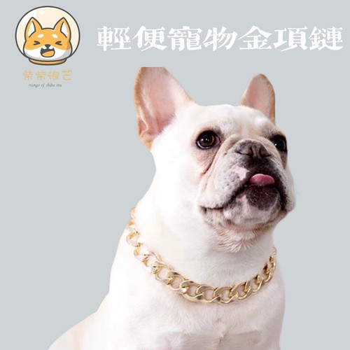 宠物金链子轻盈塑料霸气侧漏