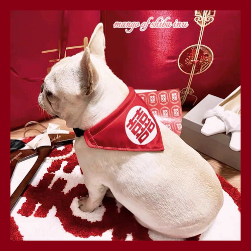 宠物口水巾喜字婚礼结婚随手礼