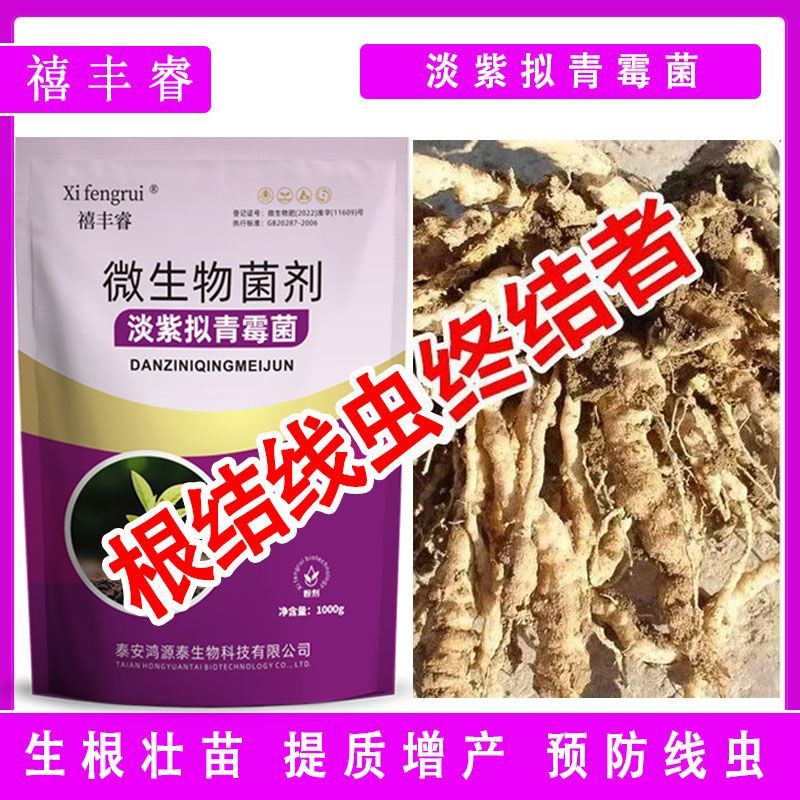 淡紫紫孢菌淡紫拟青霉根结线虫专用根瘤根腐地下线虫套餐土壤杀菌