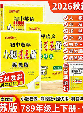 26小题狂做提优版江苏版同步训练
