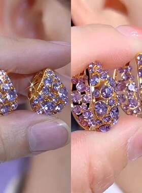 超闪精致紫色水晶耳环女简约轻奢耳饰2024新款潮爆款紫气东来耳扣