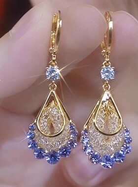 金丝网状咖色水晶水滴耳扣女轻奢时尚大气高级耳环2024新款耳饰