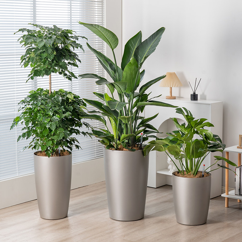 自吸水花盆客厅落地办公室大号塑料圆形懒人免浇水轻奢绿植储水盆,鲜花速递/花卉仿真/绿植园艺,花盆,淘宝优惠券,粉丝福利购,淘宝优惠卷