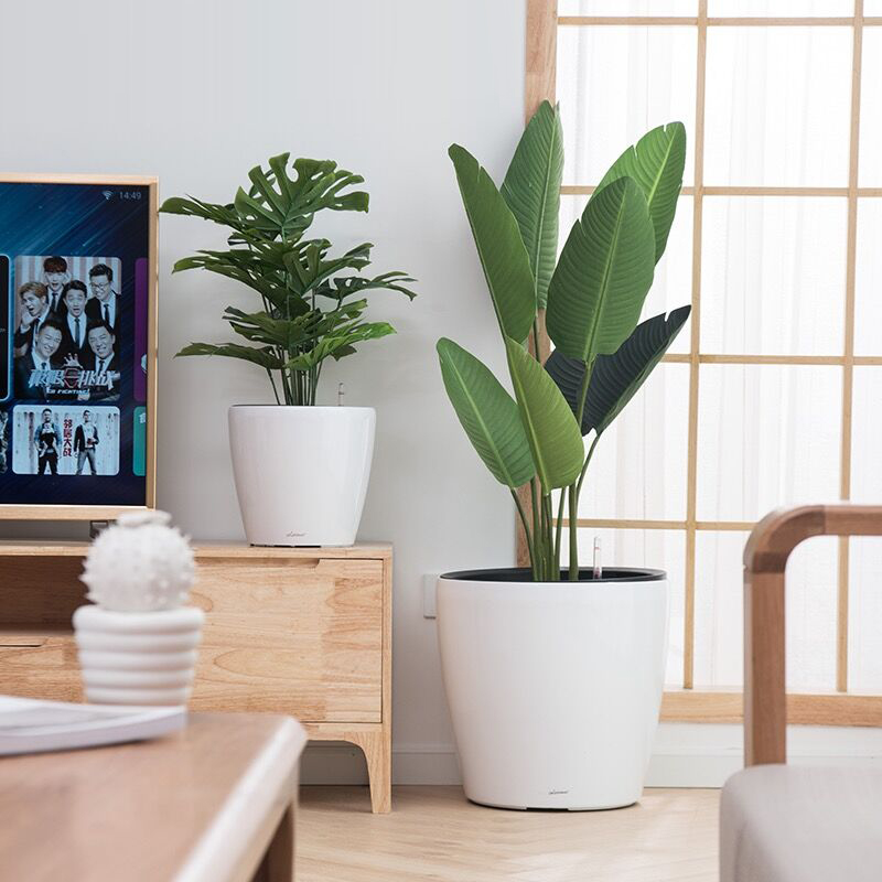 自吸水懒人花盆免浇水