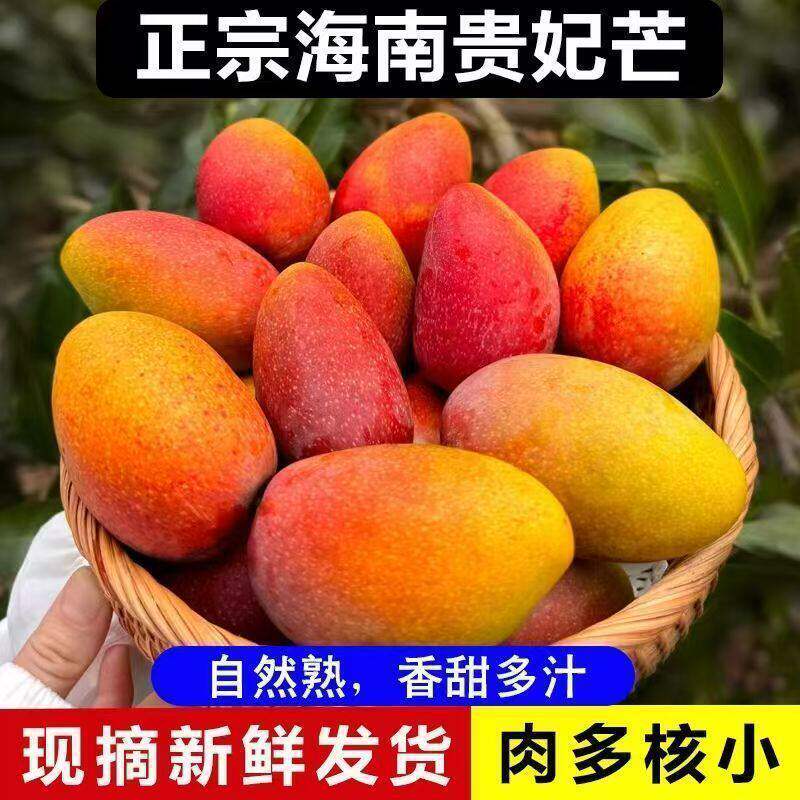 正宗海南贵妃芒新鲜产地现摘自然熟香甜多汁肉多核小芒果热带水果