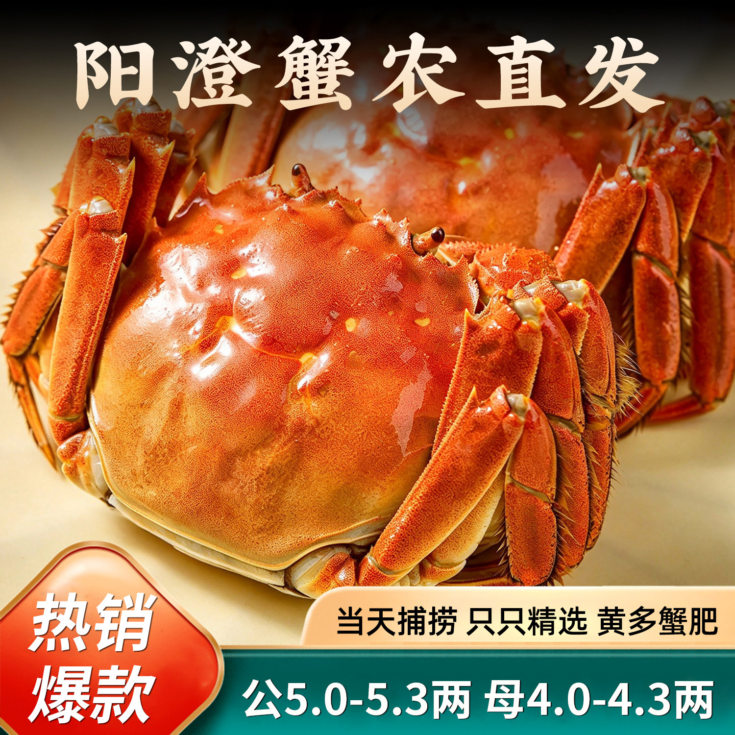 活蟹官方阳澄蟹农大闸蟹鲜活大螃蟹公蟹母蟹任选生鲜礼盒顺丰包邮