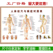 人体经络穴位标准大图挂图全身高清中医养生艾灸推拿按摩背部针灸