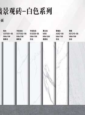 干挂外墙PC砖幕墙砖别墅庭院地砖石英砖爵士白白色系形象墙景观砖