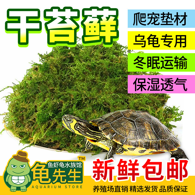宠物爬宠专用天然干水苔藓青苔兰花石斛栽培乌龟水草保湿保温垫材