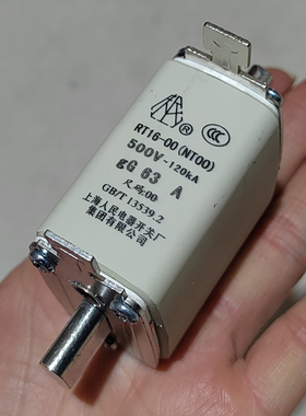 开关厂RT16-00熔断器160A陶瓷500V 120KA  100A 63A  80A 50 NT00