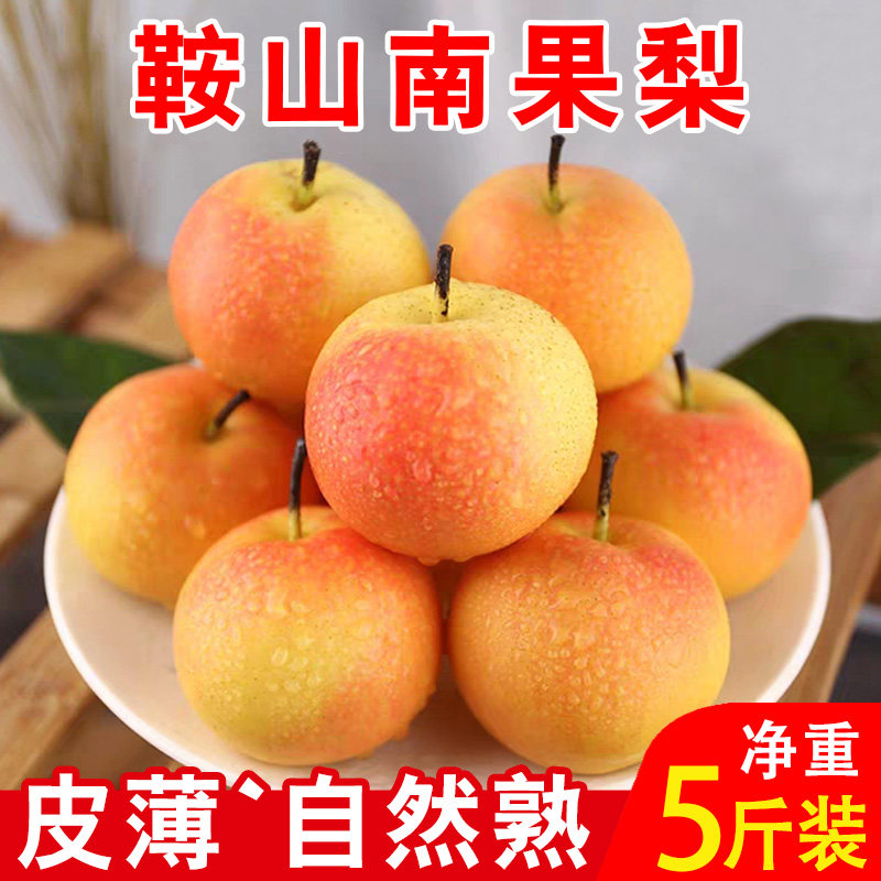 东北特产辽宁鞍山南果梨5斤包邮海城南国梨小香水梨新鲜孕妇水果