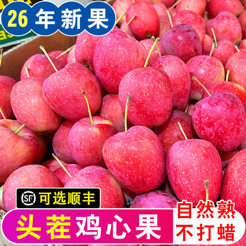 东北鸡心果5斤包邮花红果锦绣香妃海棠塞外红K9沙果小苹果香槟果