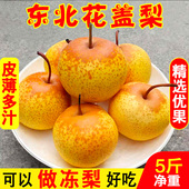 正宗东北花盖梨辽宁特产可做冻梨酸甜软梨花盖梨新鲜东北5斤 包邮