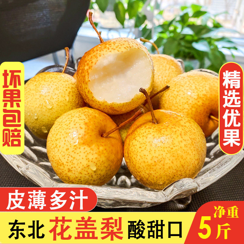 正宗花盖梨东北特产软梨酸梨