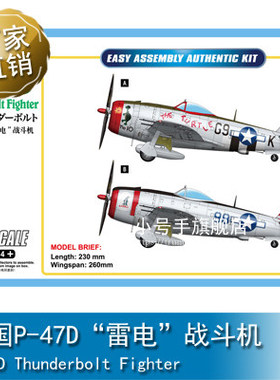 小号手 1/48 美国P-47D”雷电”战斗机 85811