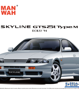 青岛社模型  1/24 尼桑ECR33 天际线GTS25t TypeM '94 06212