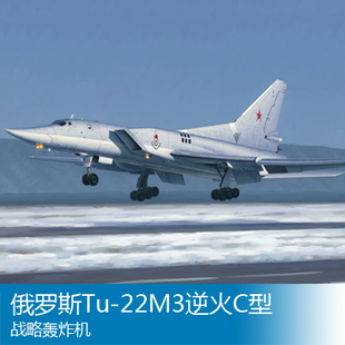 俄罗斯Tu 小号手 01656 22M3逆火C型战略轰炸机