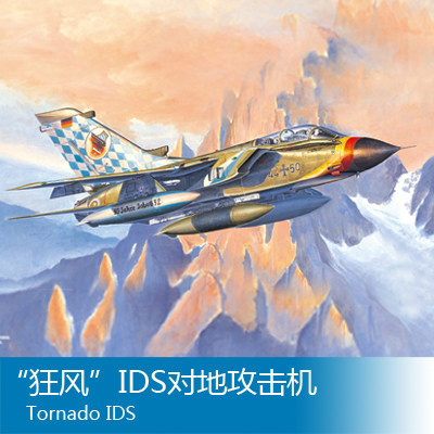 小号手 1/48 “狂风”IDS对地攻击机 80353