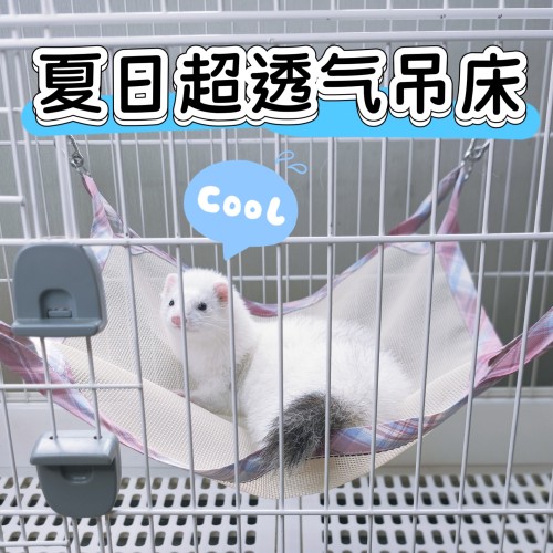 雪貂夏季超透气网格吊床