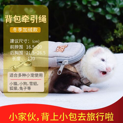 宠物雪貂背包简约创意