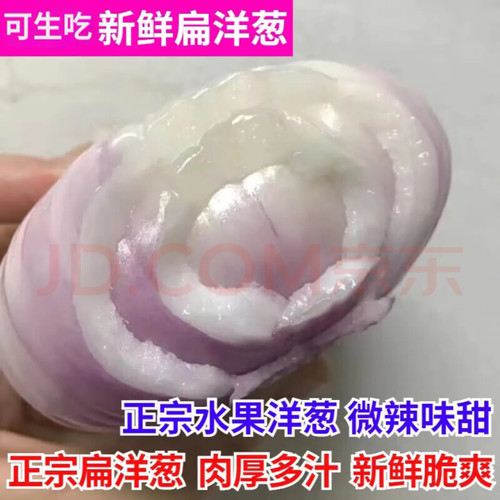 山东二红扁洋葱微辣脆甜可生吃新鲜水果洋葱精选3斤/5斤装