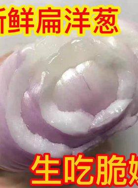 山东二红扁洋葱微辣脆甜可生吃新鲜水果洋葱精选3斤/5斤装