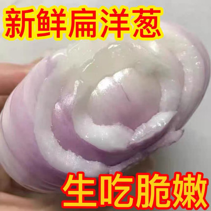 山东二红扁洋葱微辣脆甜可生吃新鲜水果洋葱精选3斤/5斤装