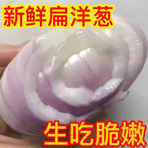 正宗山东二红水果扁洋葱
