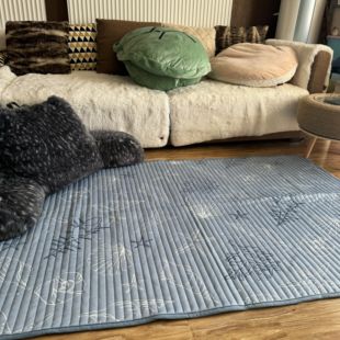 外贸库存清仓四季款地毯游戏垫床边垫客厅茶几卧室榻榻米垫可机洗