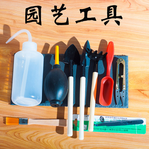 阳台多肉种植铲壶镊修剪套装