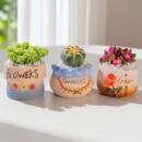 肉肉盆栽室内阳台多肉植物组合玉露花盆土套餐新手绿植花卉好养