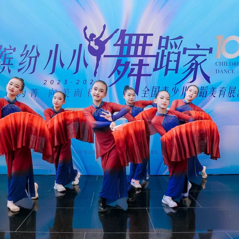破阵乐古典舞蹈女童形体身韵练功服中国舞民族艺考飘逸溯跃演出服