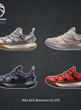 NikeACGMountainFlyGTX户外鞋