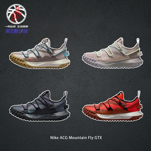 NikeACGMountainFlyGTX户外鞋