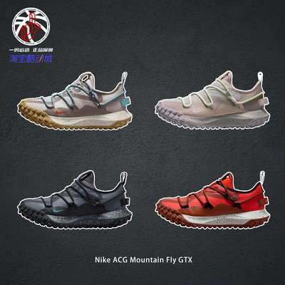 NikeACGMountainFlyGTX户外鞋