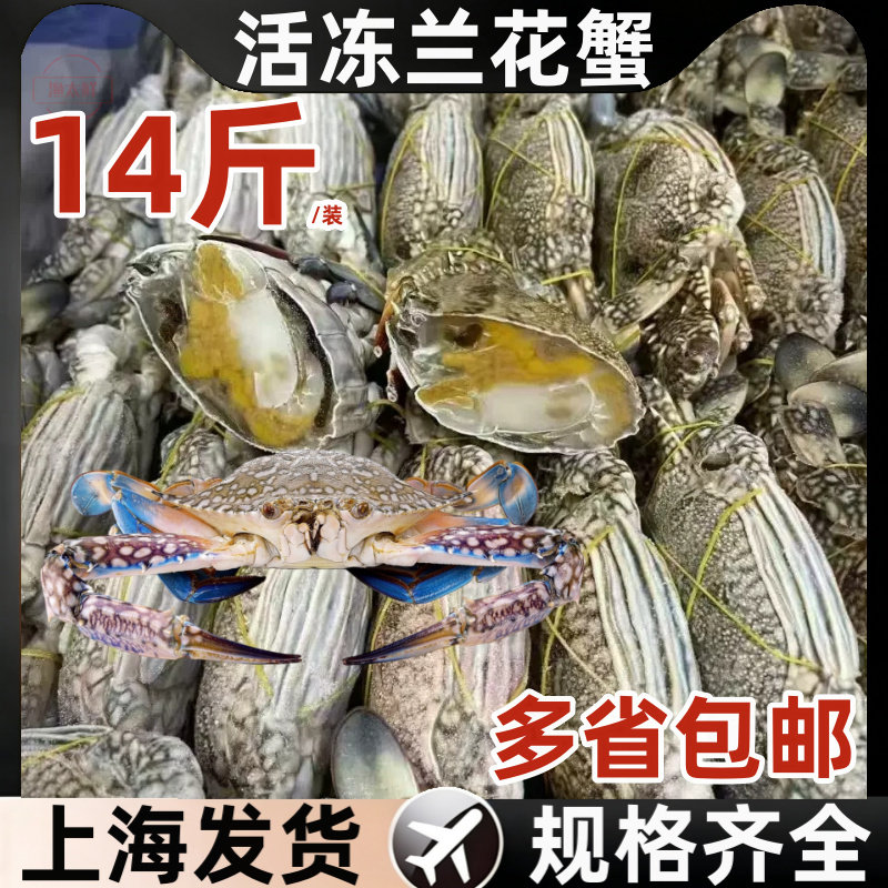 活冻14斤兰花蟹大螃蟹蓝花蟹生鲜海鲜油焖梭子蟹飞蟹14斤速冻冷冻