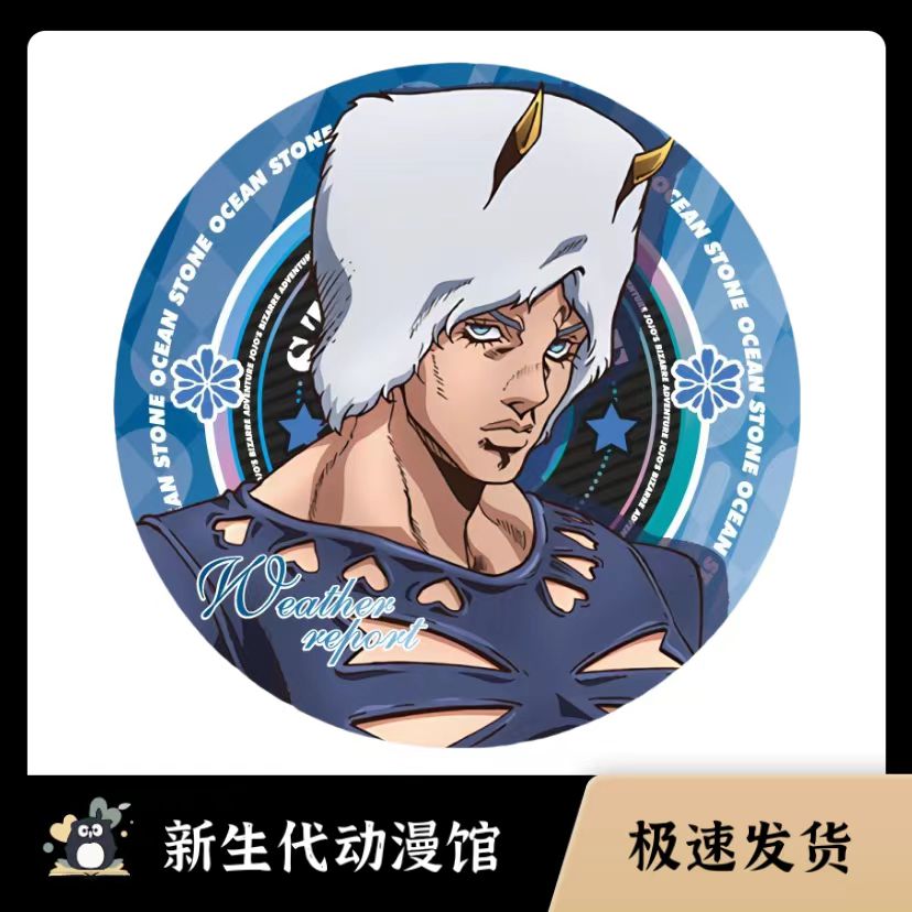 JOJO的奇妙冒险吧唧空条徐伦承太郎动漫周边镭射马口铁徽章谷子