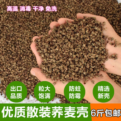 批量发免洗荞麦皮苦荞麦壳填充物