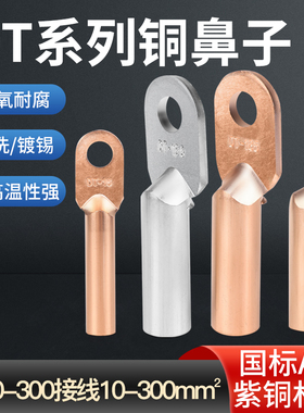 加厚紫铜鼻子国标A级接线端子DT-10/35平方电缆接头线耳酸洗镀锡